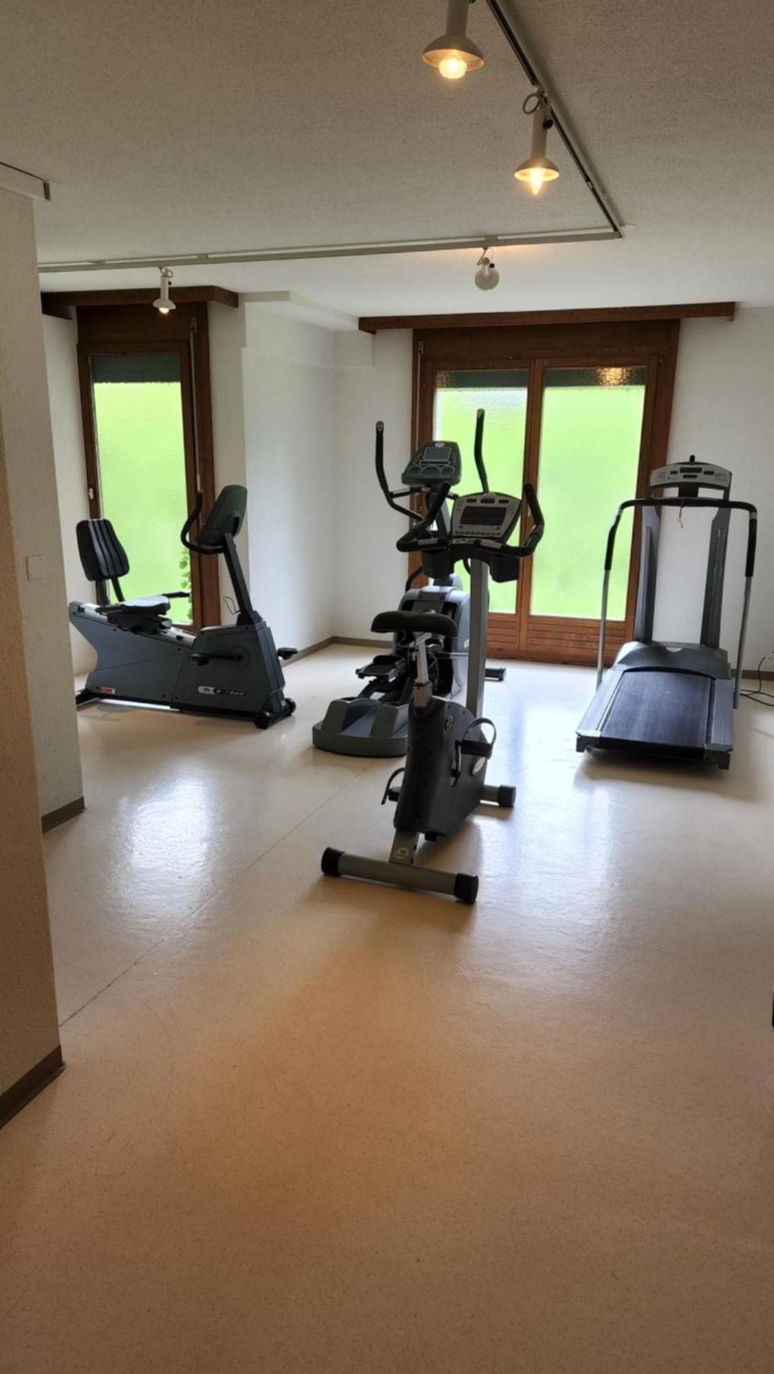 Appartement Solohike Mountainview à Seelisberg Extérieur photo